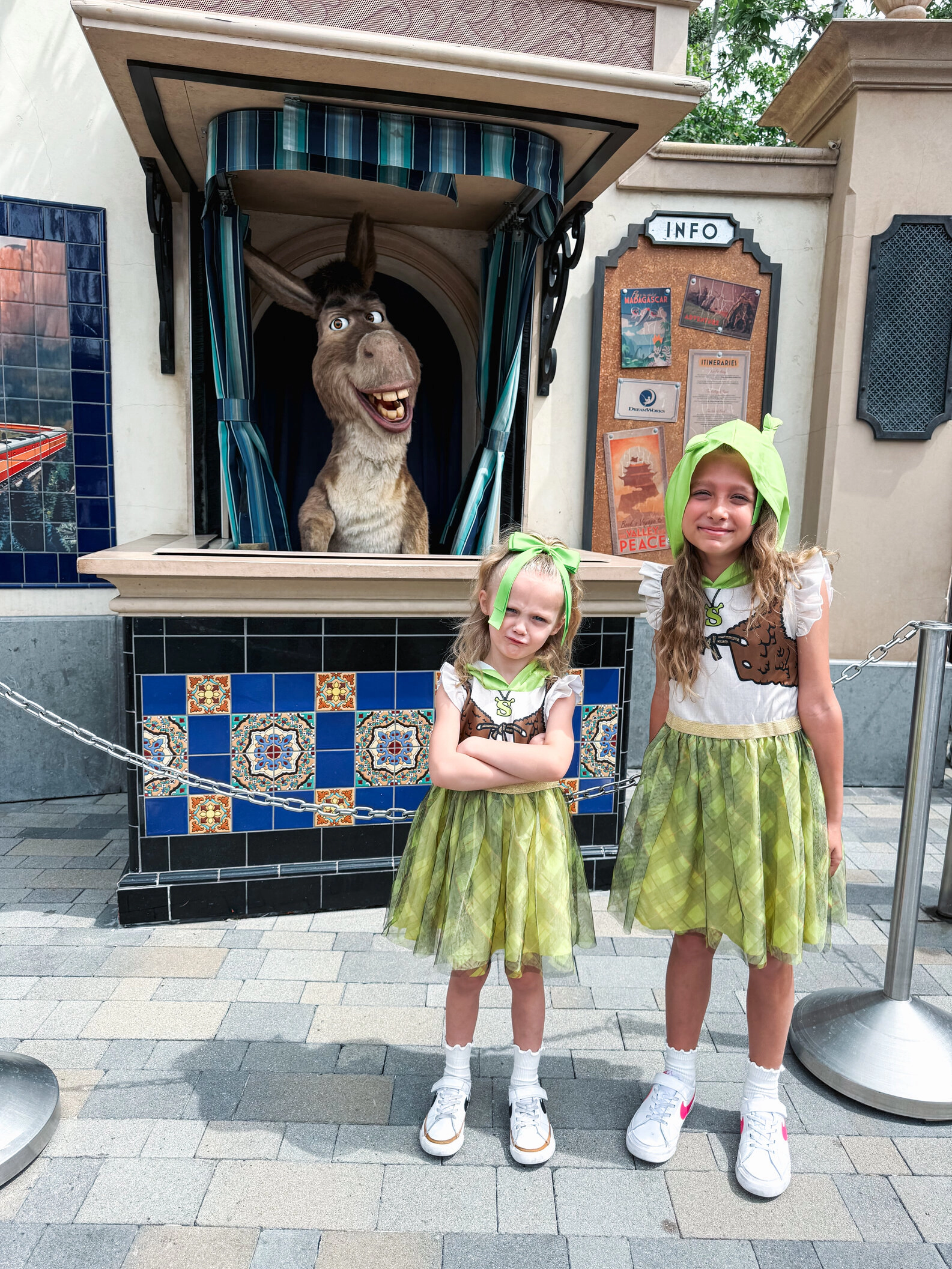 DreamWorks Shrek Girls' Sleeveless Cosplay Tutu Dress