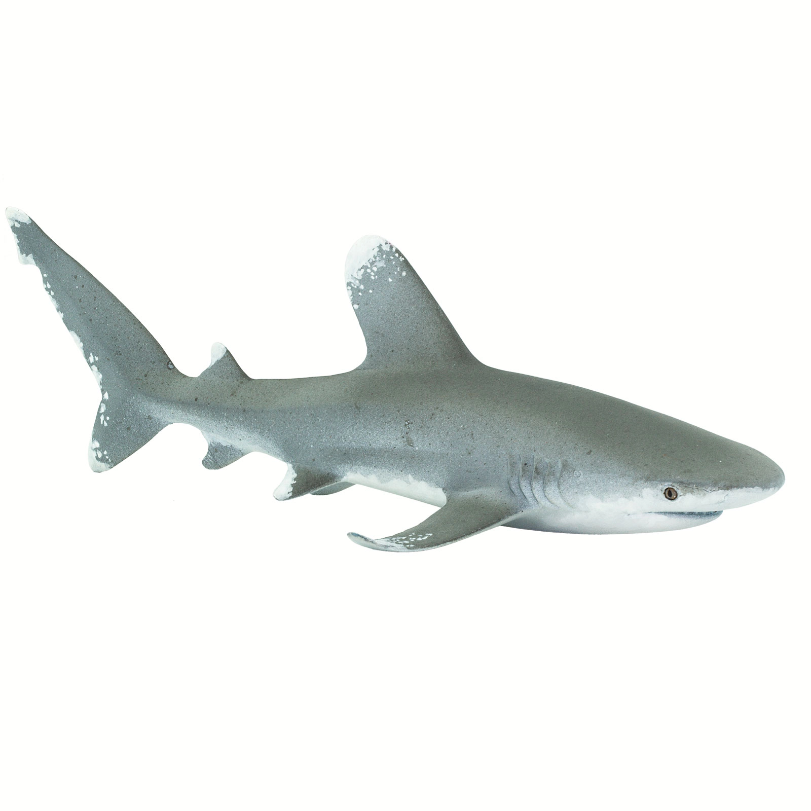 Safari Ltd. - Oceanic Whitetip Shark Kids Toy Figure