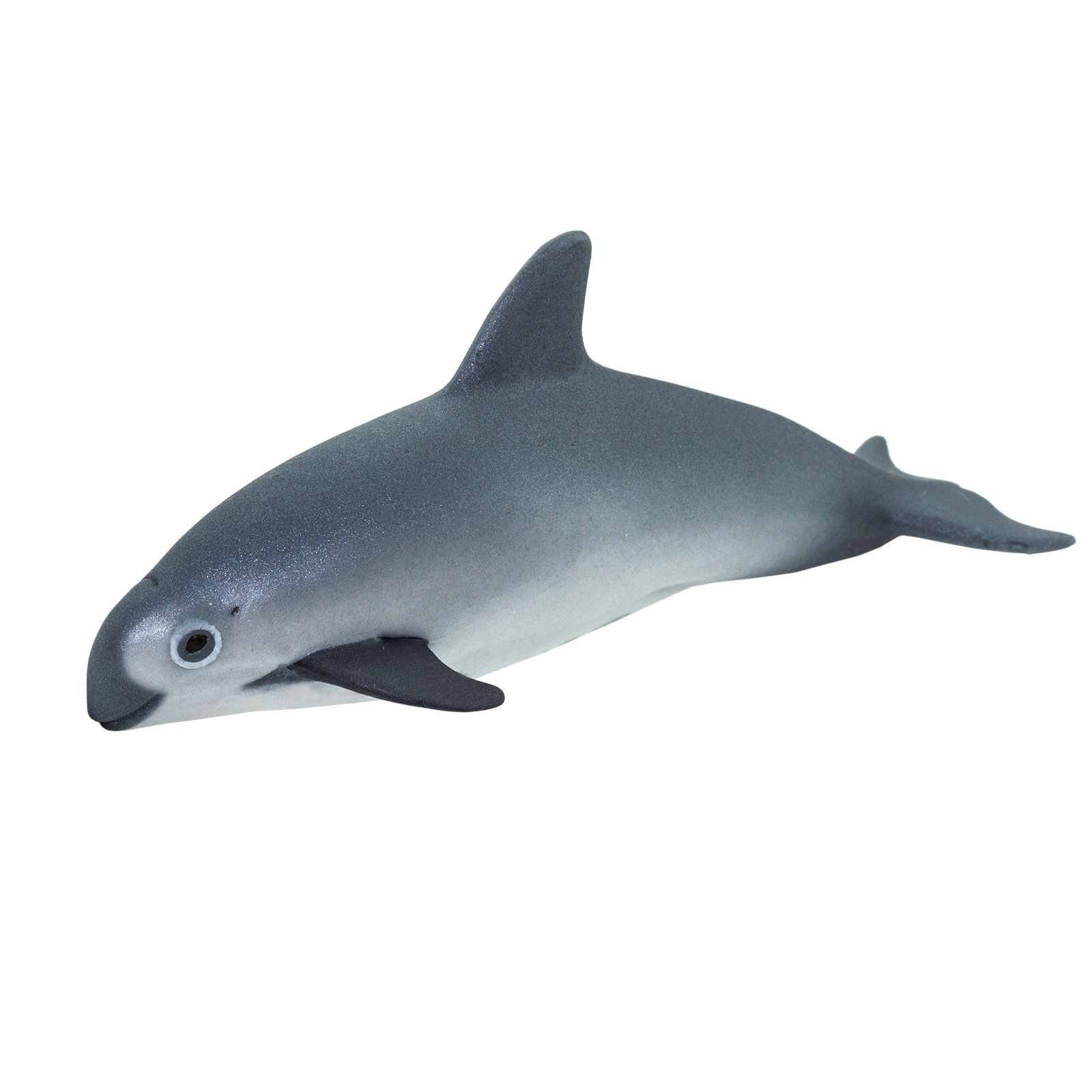Safari Ltd. - Vaquita Porpoise Kids Toy Figure
