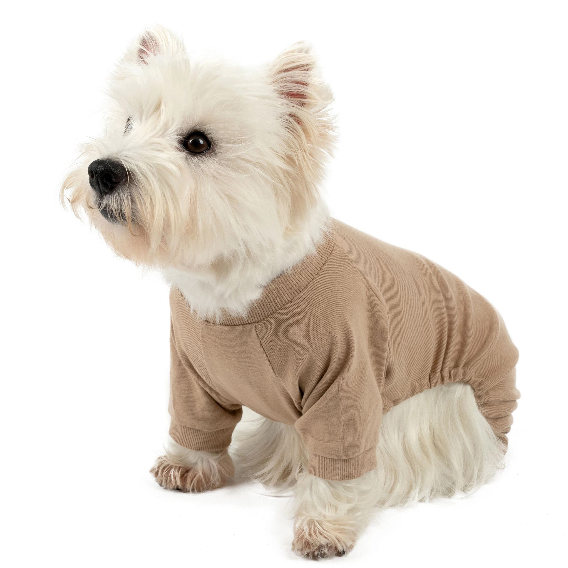 Leveret Dog Cotton Neutral Solid Pajamas