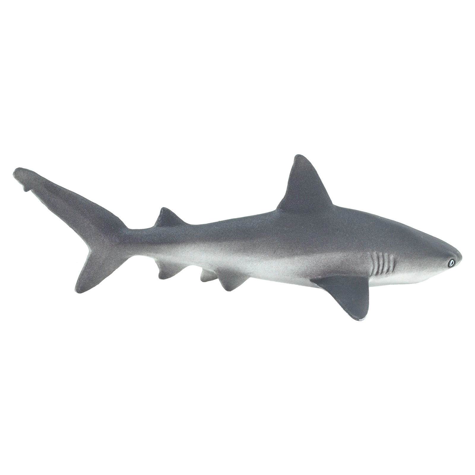 Safari Ltd. - Gray Reef Shark Kids Toy Figure