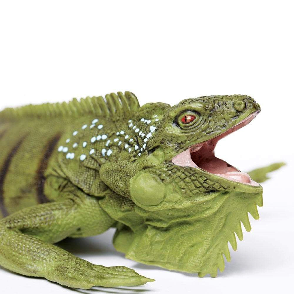 Safari Ltd. - Iguana Kids Toy Figure