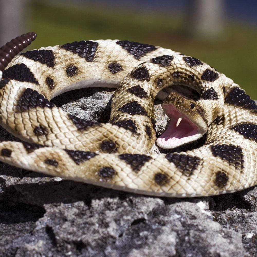 Safari Ltd. - Eastern Diamondback Rattlesnake Kids Toy Figure