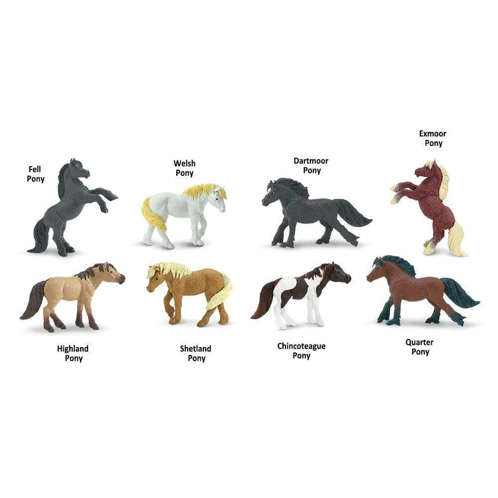 Safari Ltd. - Ponies TOOB - contains 8 Mini Figurines