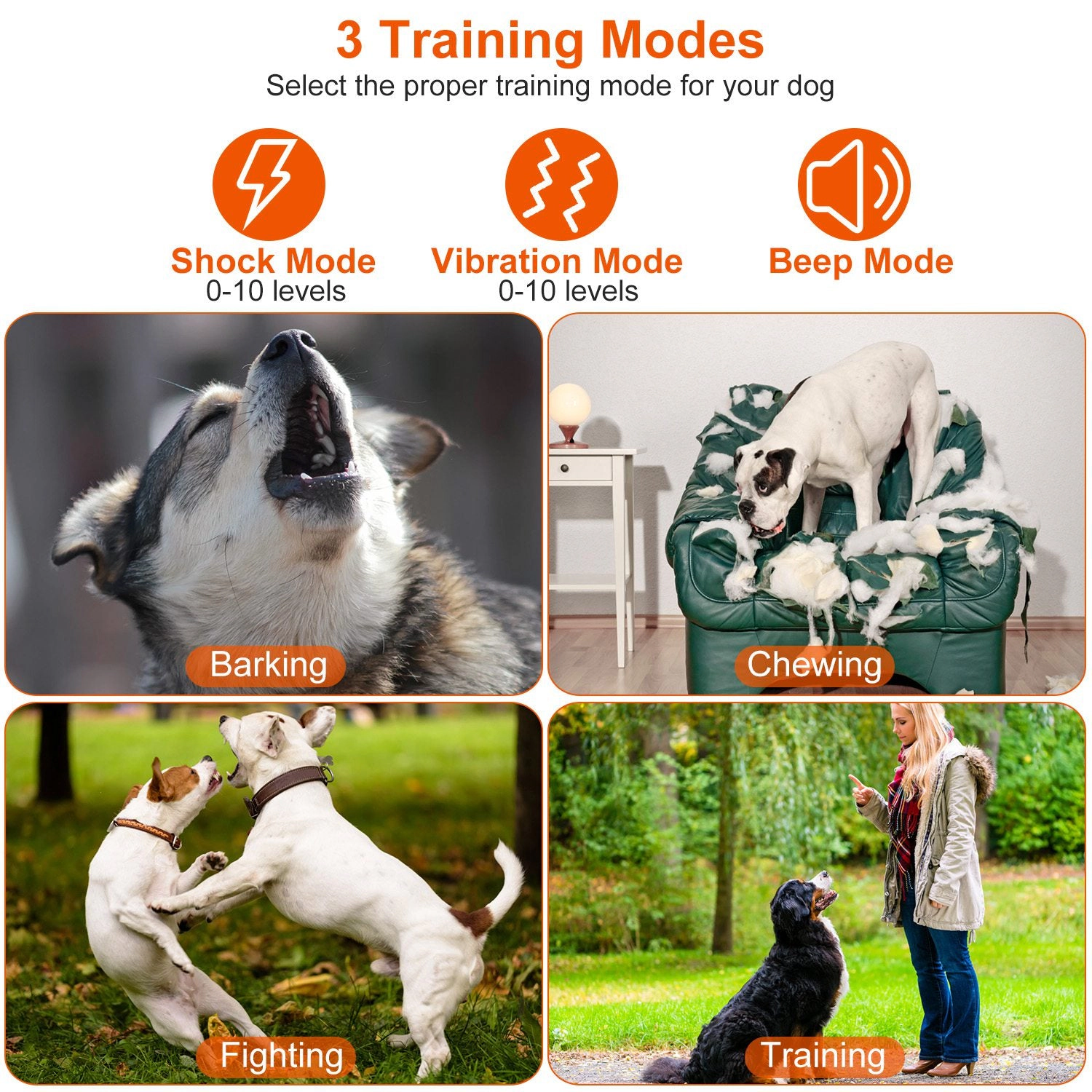 GBruno IPX7 Waterproof Rechargeable Dog Training Collar