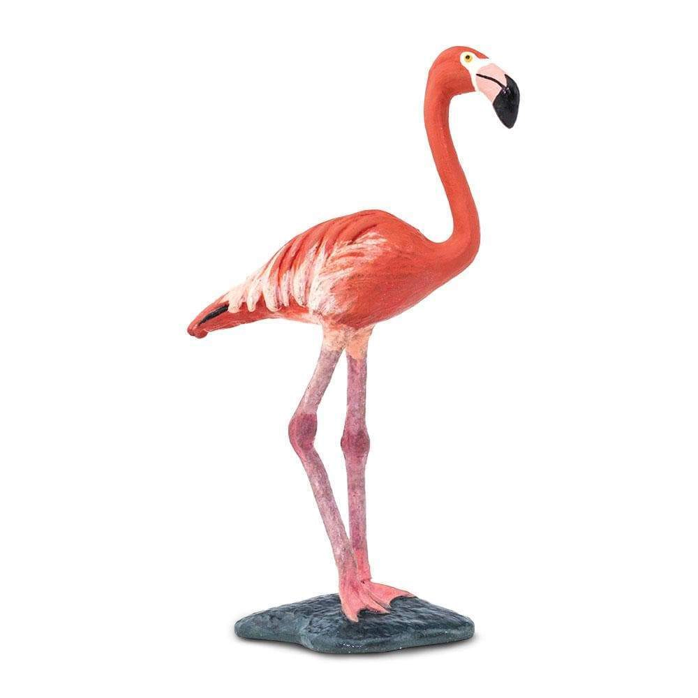 Safari Ltd. - Flamingo Kids Toy Figure