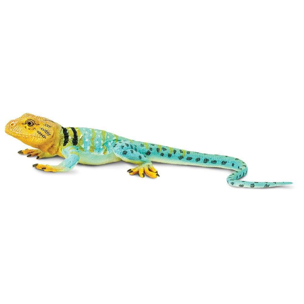 Safari Ltd. - Collared Lizard Kids Toy Figure