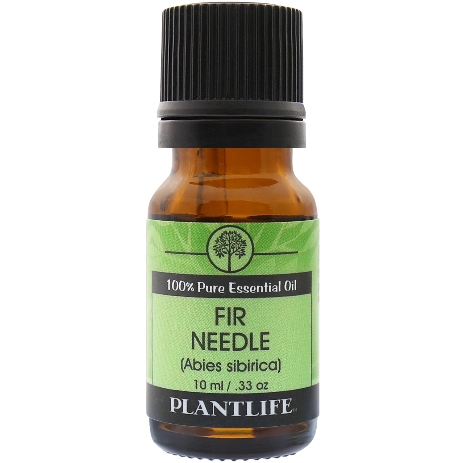 Plantlife Fir Needle Essential Oil