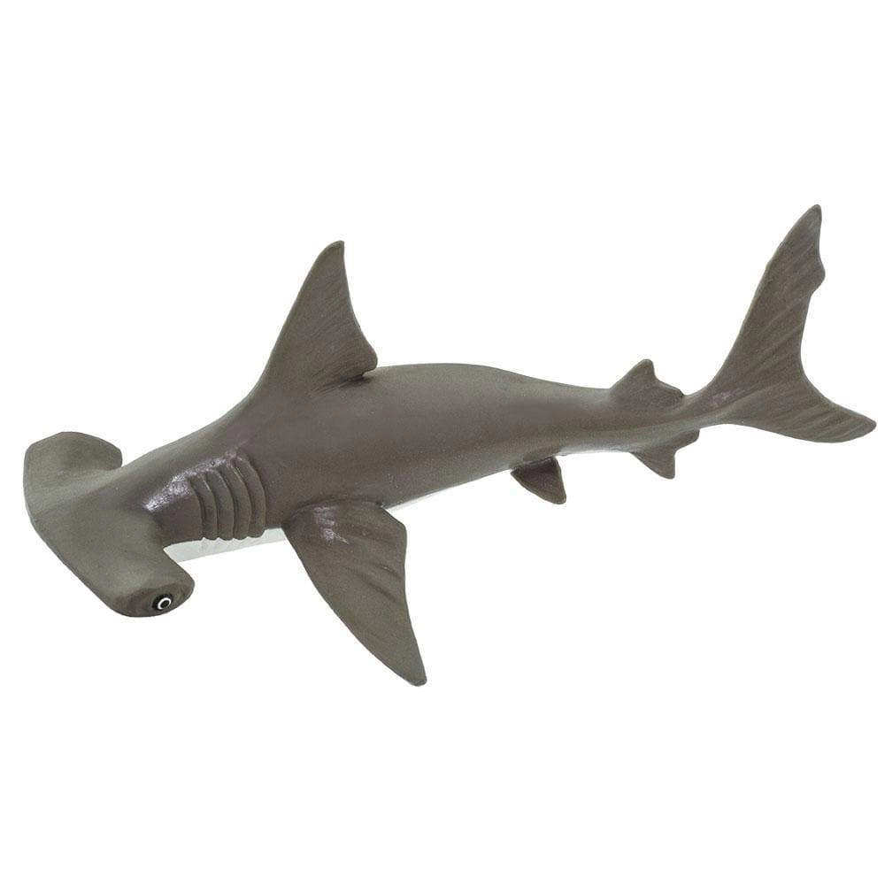 Safari Ltd. - Hammerhead Shark Baby Kids Toy Figure