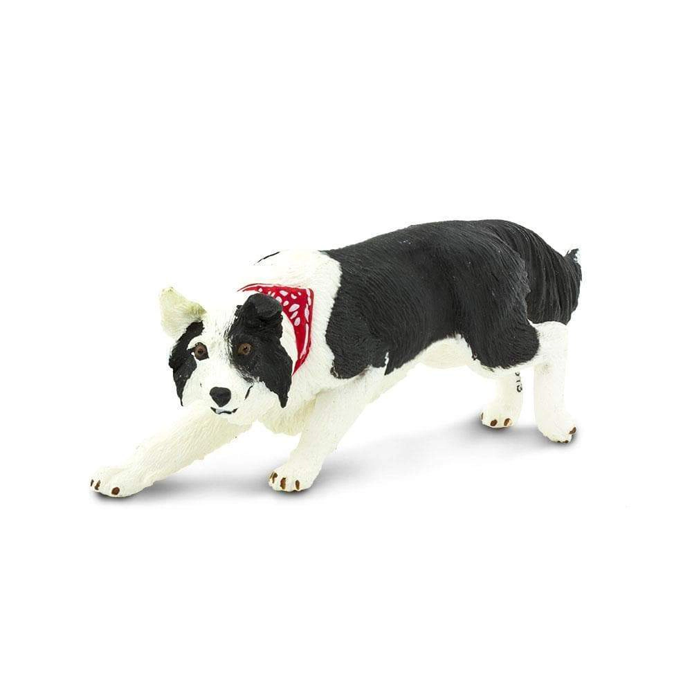 Safari Ltd. - Border Collie Kids Toy Figure