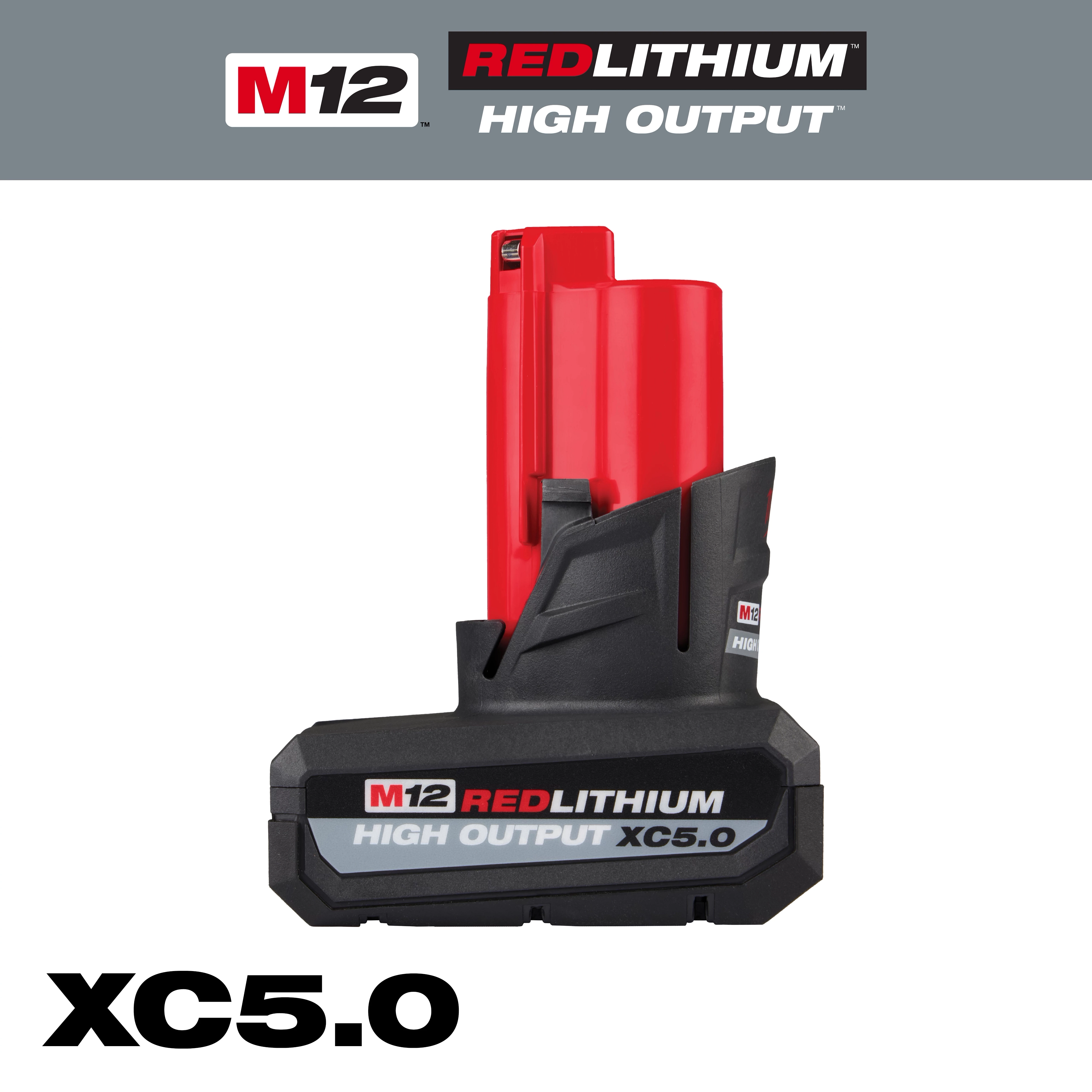 Milwaukee 48-11-2450 12V Lithium-Ion High Output 5Ah Battery Pack (G0803029)