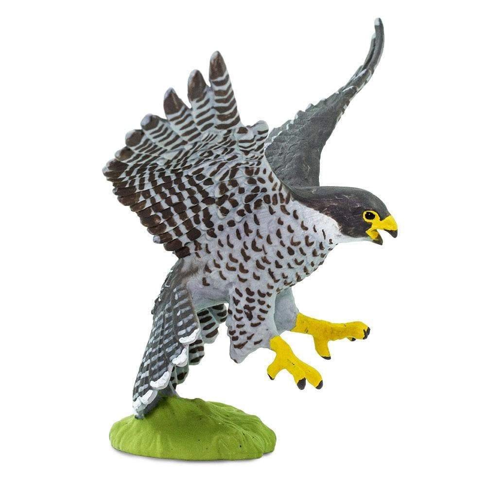 Safari Ltd. - Peregrine Falcon Kids Toy Figure