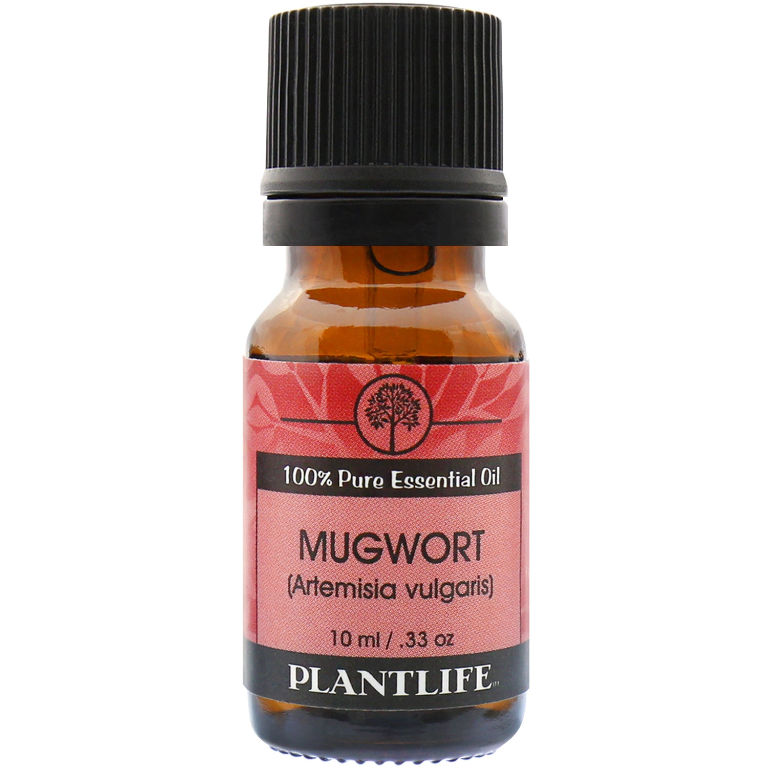 Plantlife Mugwort Essential Oil