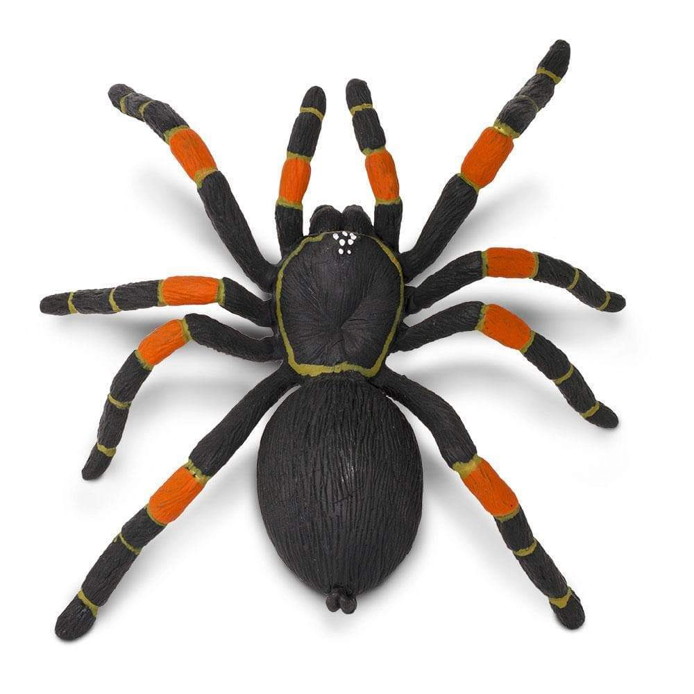 Safari Ltd. - Orange-kneed Tarantula Kids Toy Figure
