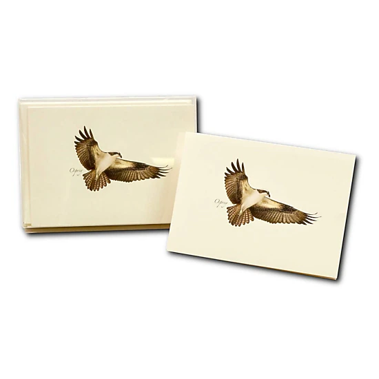 Earth Sky + Water Osprey Notecard Set - 8 Blank Cards with Envelopes