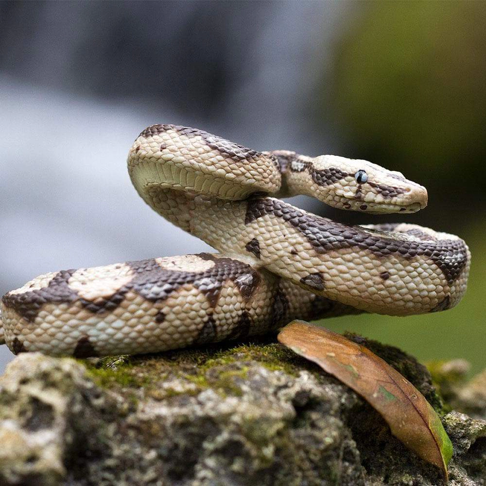 Safari Ltd. - Boa Constrictor Kids Toy Figure