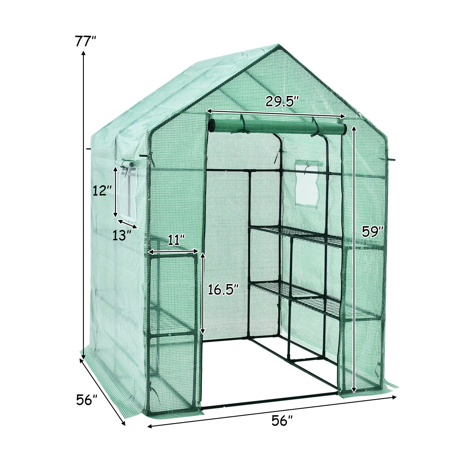 SUGIFT Walk-in Greenhouse 55 x 57 77 with Observation Windows and Roll-up Door