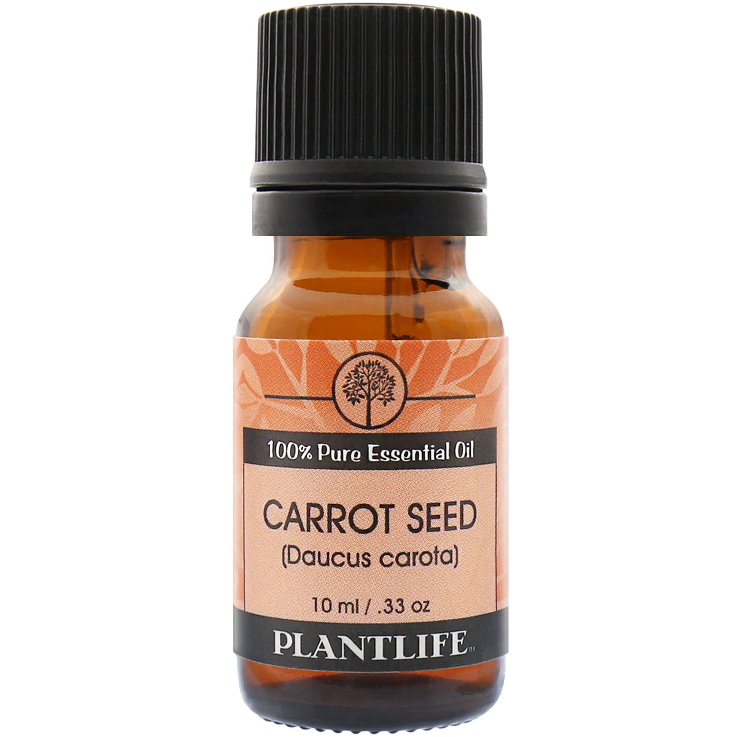 Plantlife Carrot Seed Essential Oil