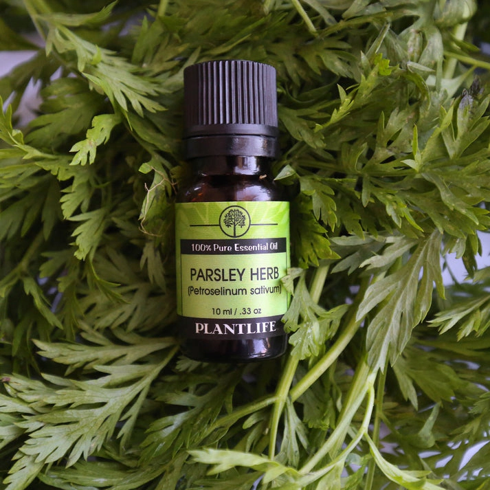 Plantlife Parsley Herb Essential Oil