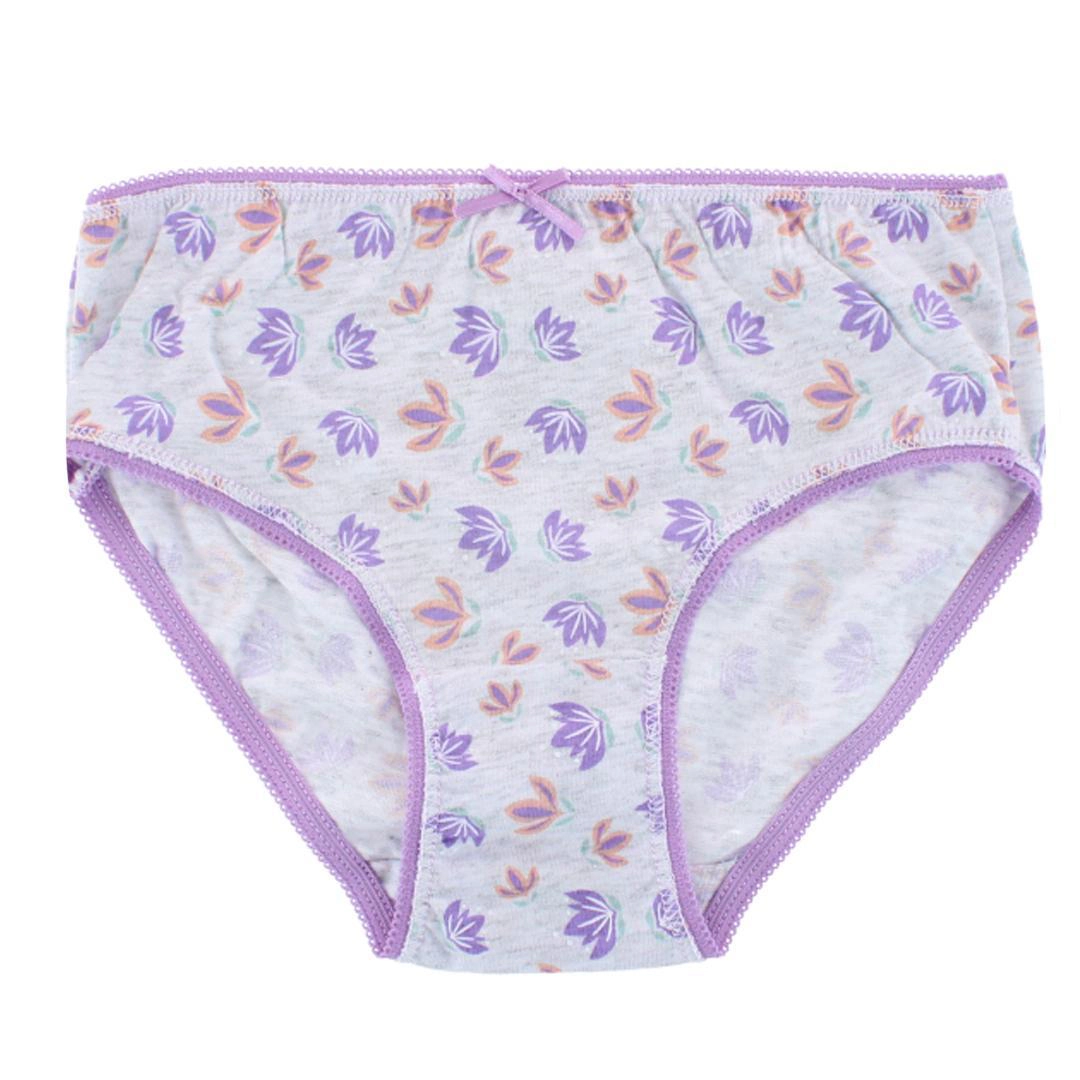 Textiel Trade Girl's Frozen Assorted Briefs (4-Pack)