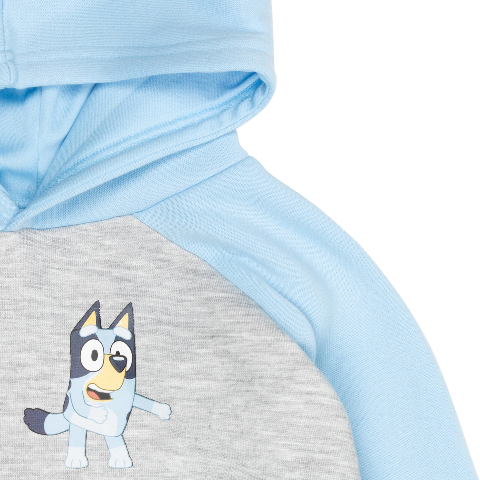 Bluey Boys' Fleece Hooded Sweatshirt