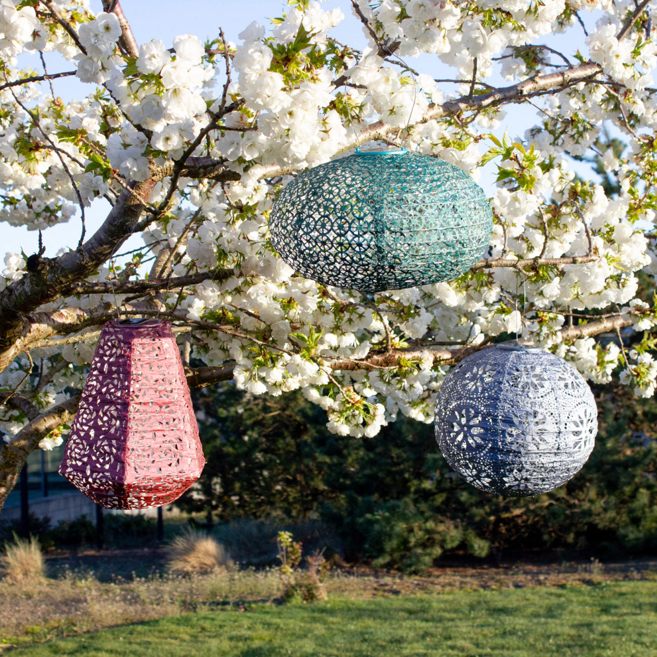 Allsop Home & Garden Soji Stella Multi Shape Solar Lantern 5 pack