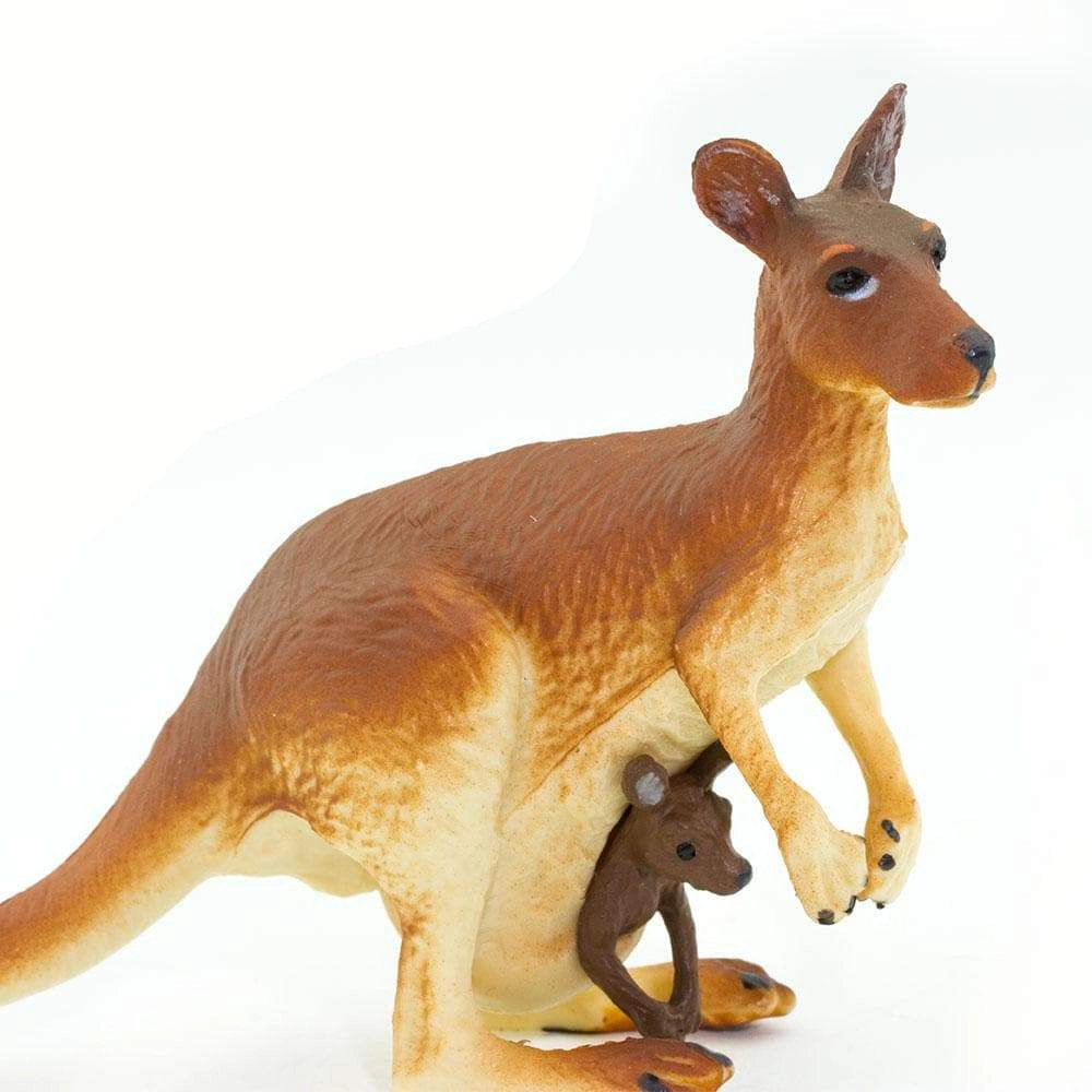 Safari Ltd. - Kangaroo with Baby Kids Toy Figure