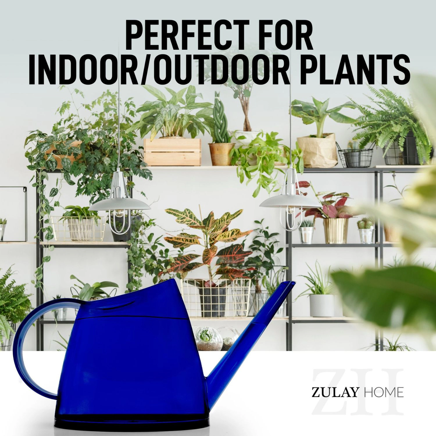 Zulay Kitchen Watering Can with Long Slim Spout for Indoor Plants