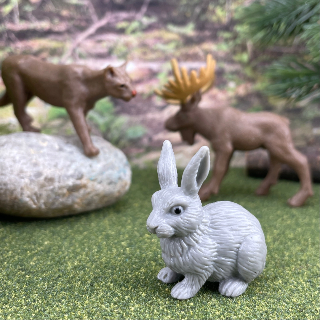 Safari Ltd. - Nature TOOB - contains 12 Mini Figurines