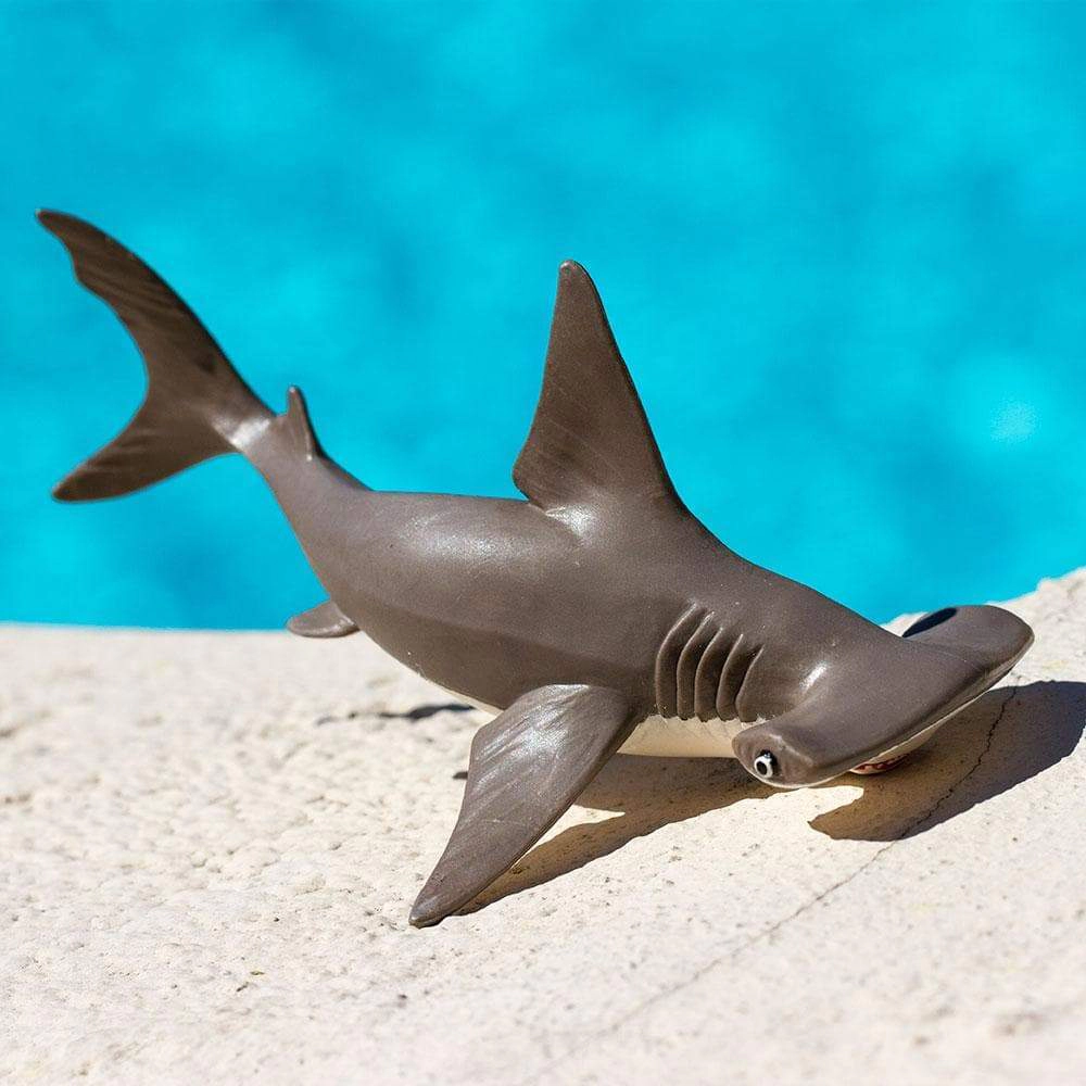 Safari Ltd. - Hammerhead Shark Baby Kids Toy Figure