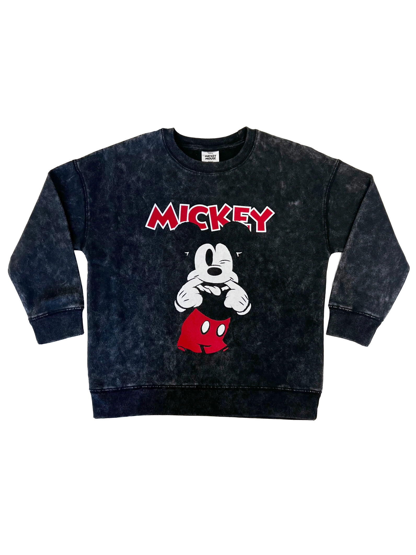 Disney Mickey Mouse & Friends Matching Family Pullover Sweatshirt