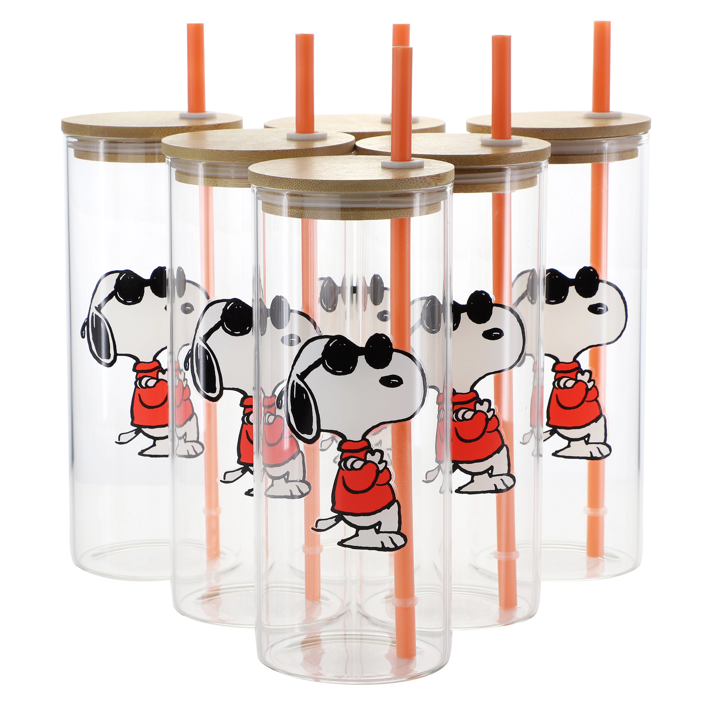 Peanuts Happy Sips Snoopy and Woodstock 6 Piece 23 Ounce Glass Tumbler with Straw and Bamboo Lid in Orange