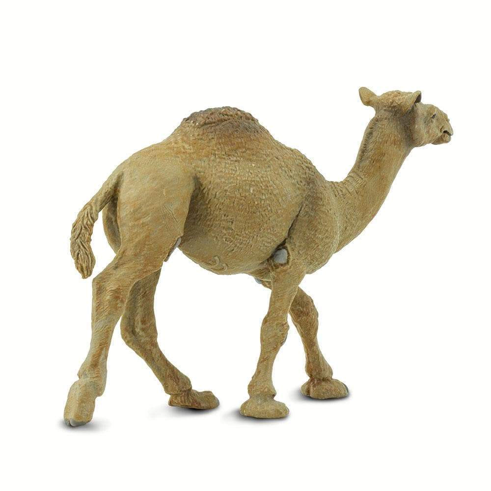 Safari Ltd. - Dromedary Camel Kids Toy Figure