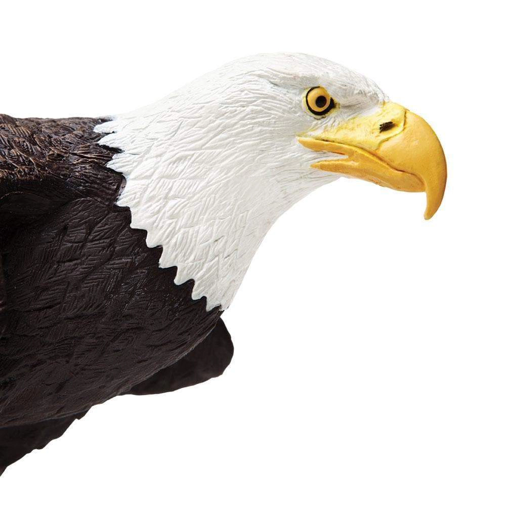 Safari Ltd. - Bald Eagle Kids Toy Figure