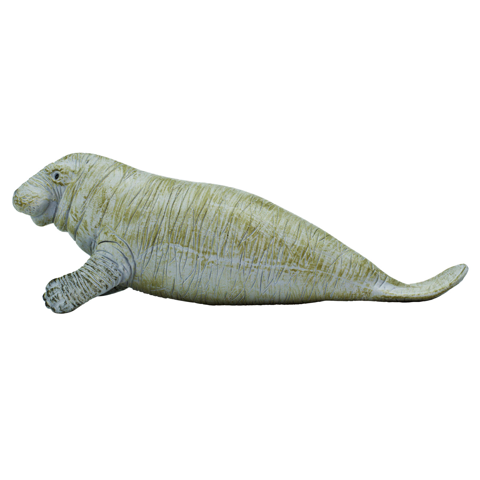 Safari Ltd. - Manatee Kids Toy Figure