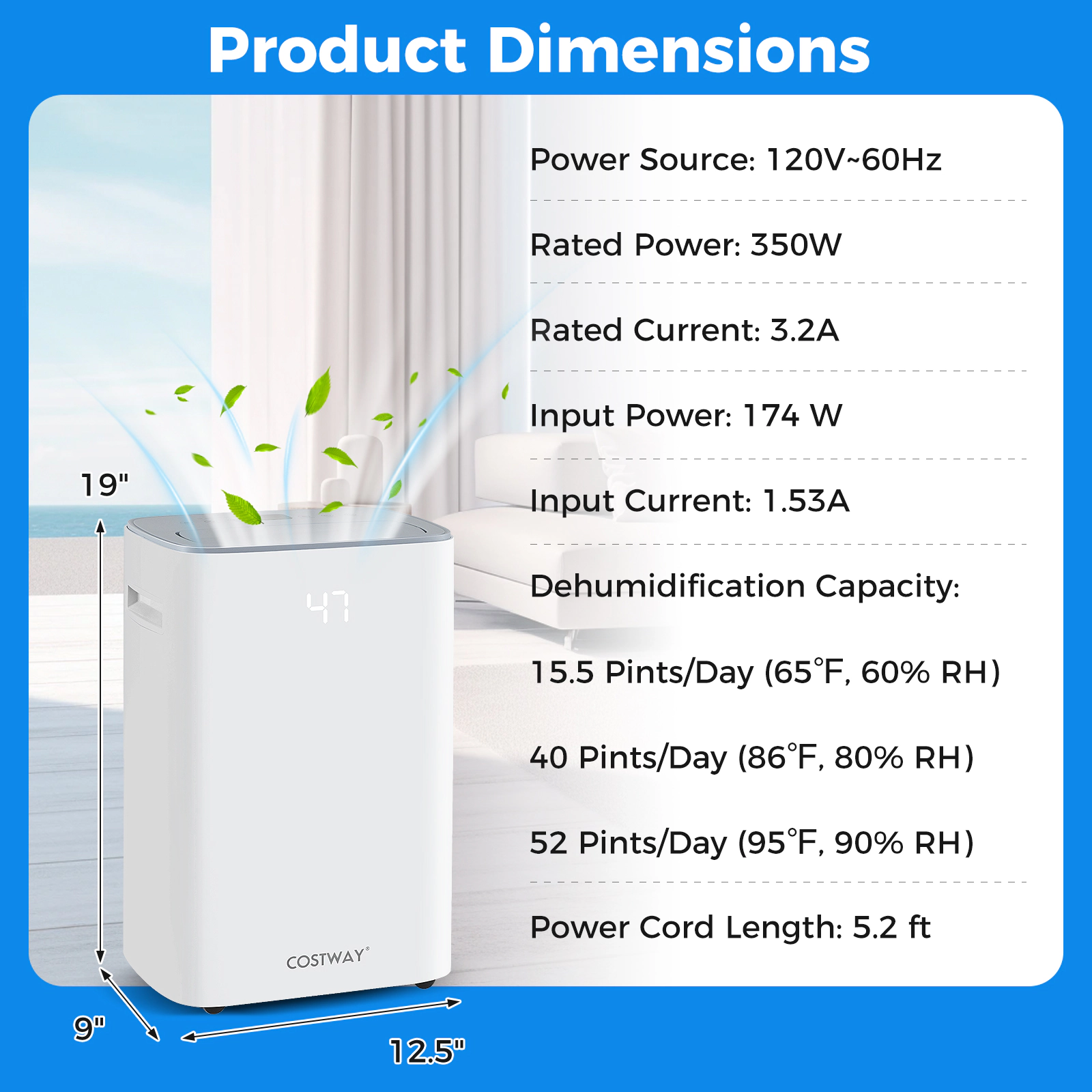 LJG Dehumidifier with Auto Drain or Manual Drainage for Home Basement