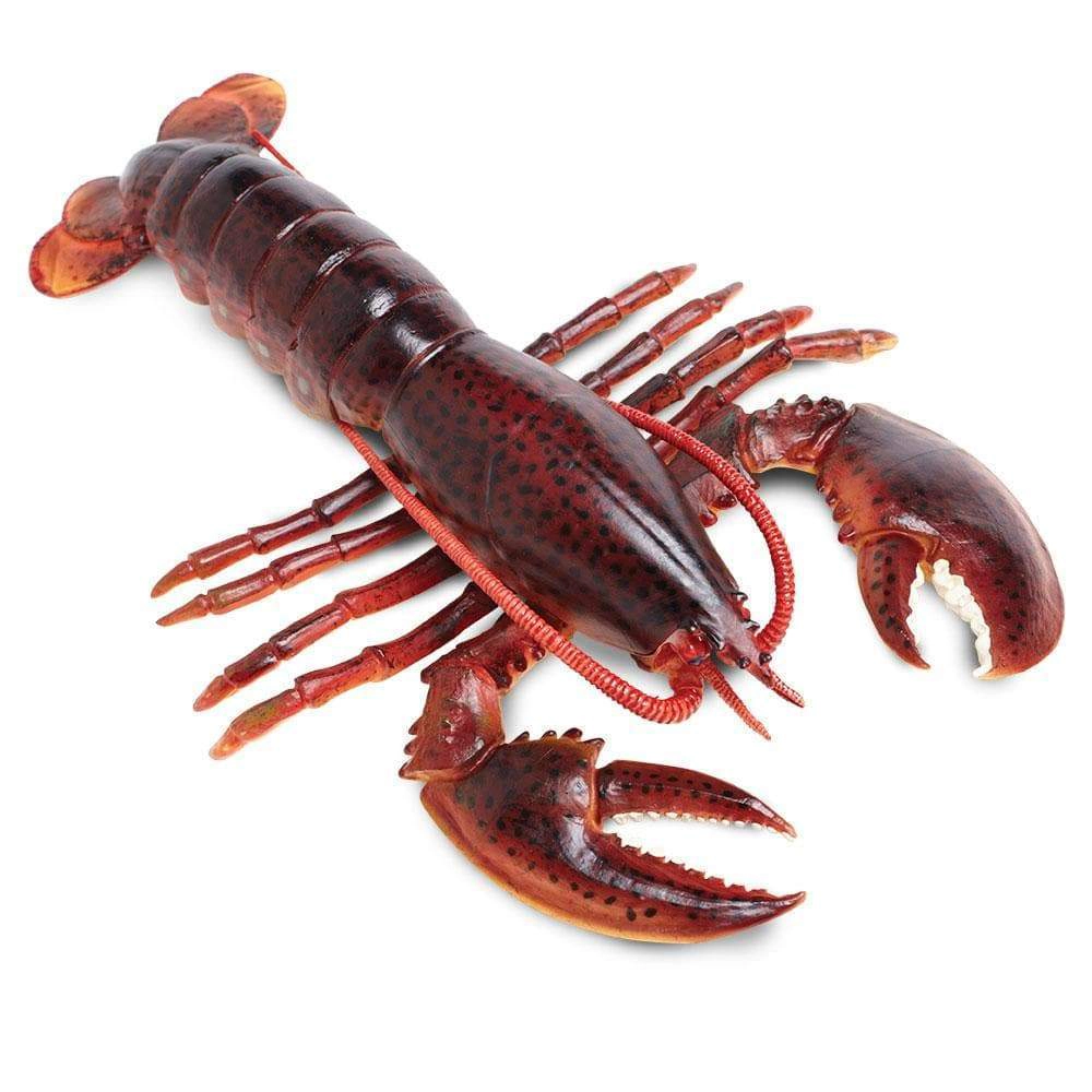 Safari Ltd. - Maine Lobster Kids Toy Figure
