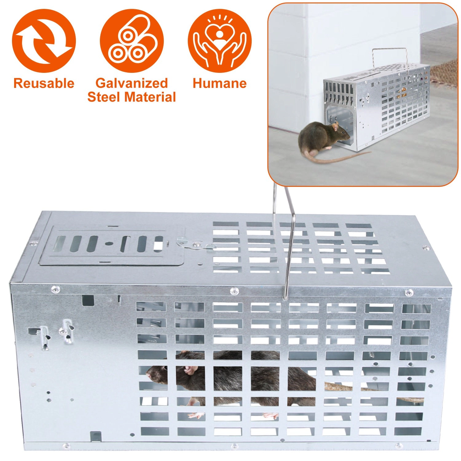 GBruno Humane Reusable Metal Mouse Trap Cage