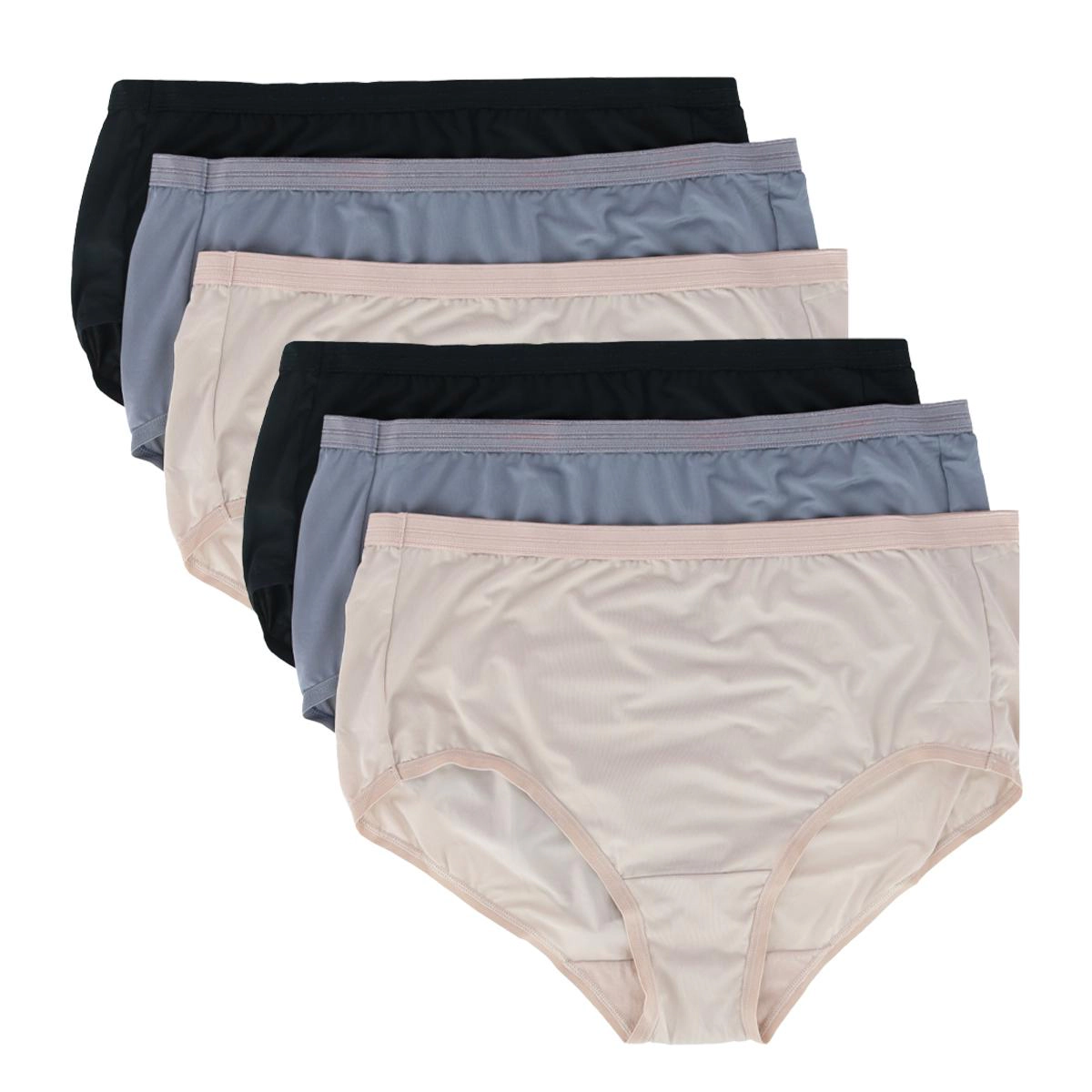 Fruit of the Loom Women's Plus Microfiber Brief Panty (6 Pack)