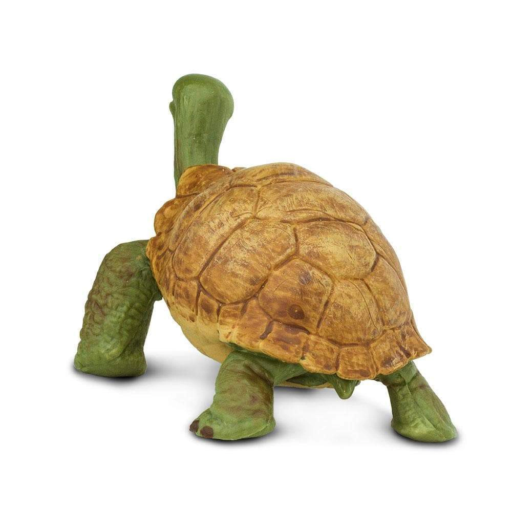 Safari Ltd. - Giant Tortoise Kids Toy Figure
