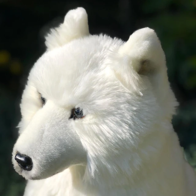 Auswella® Tomahawk™ White Arctic Wolf