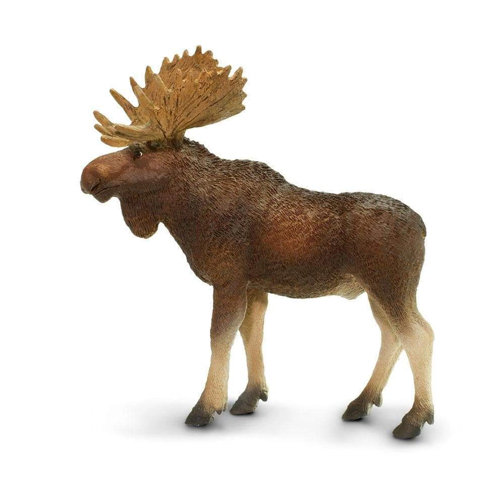 Safari Ltd. - Bull Moose Kids Toy Figure
