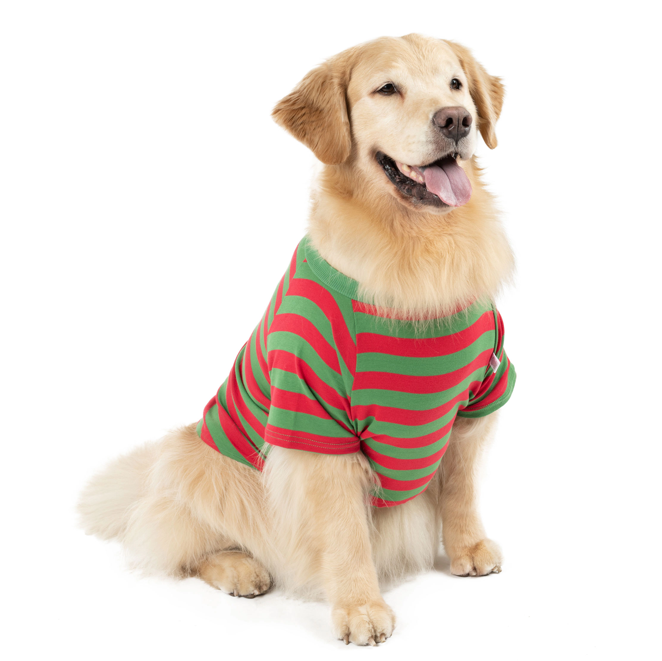 Leveret Big Dog Holiday Striped Cotton Pajamas