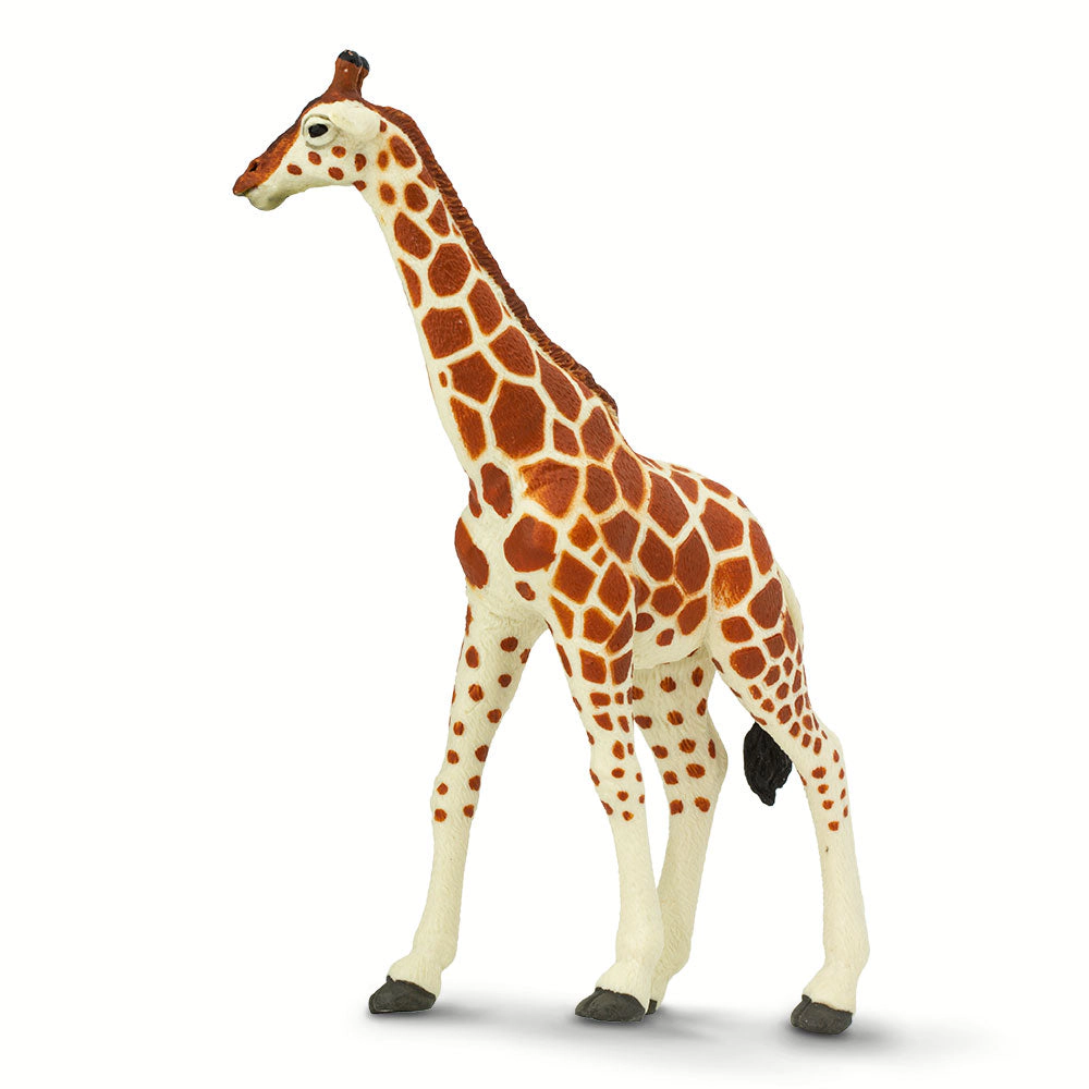 Safari Ltd. - Reticulated Giraffe Kids Toy Figure