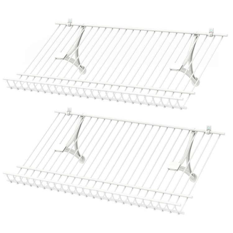 Hivvago Closet Shelves Wall Mounted Set of 2 Metal Wire Shoe Racks