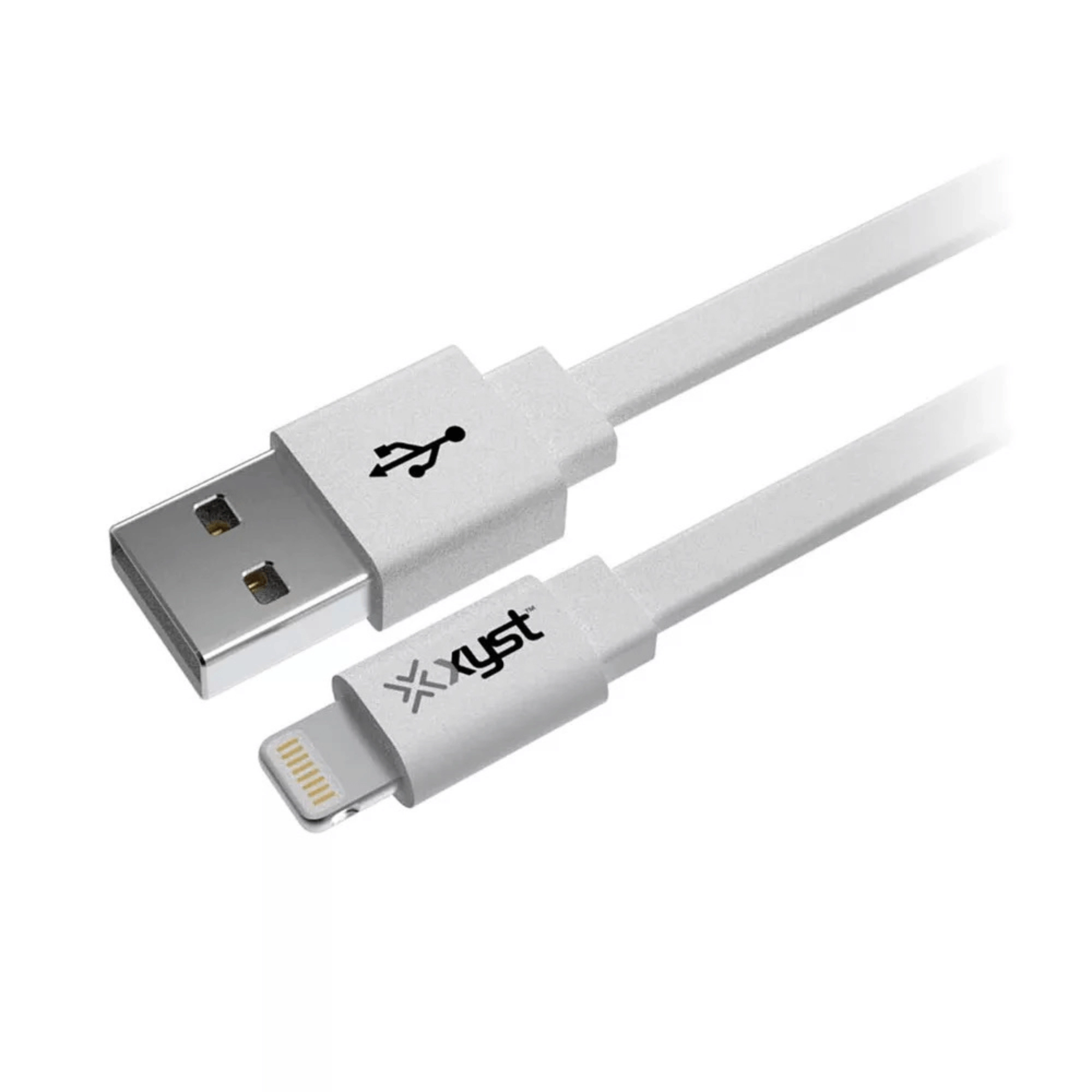 Xyst 2.4-Amp Dual USB Wall Charger With 4Ft Lightning Cable