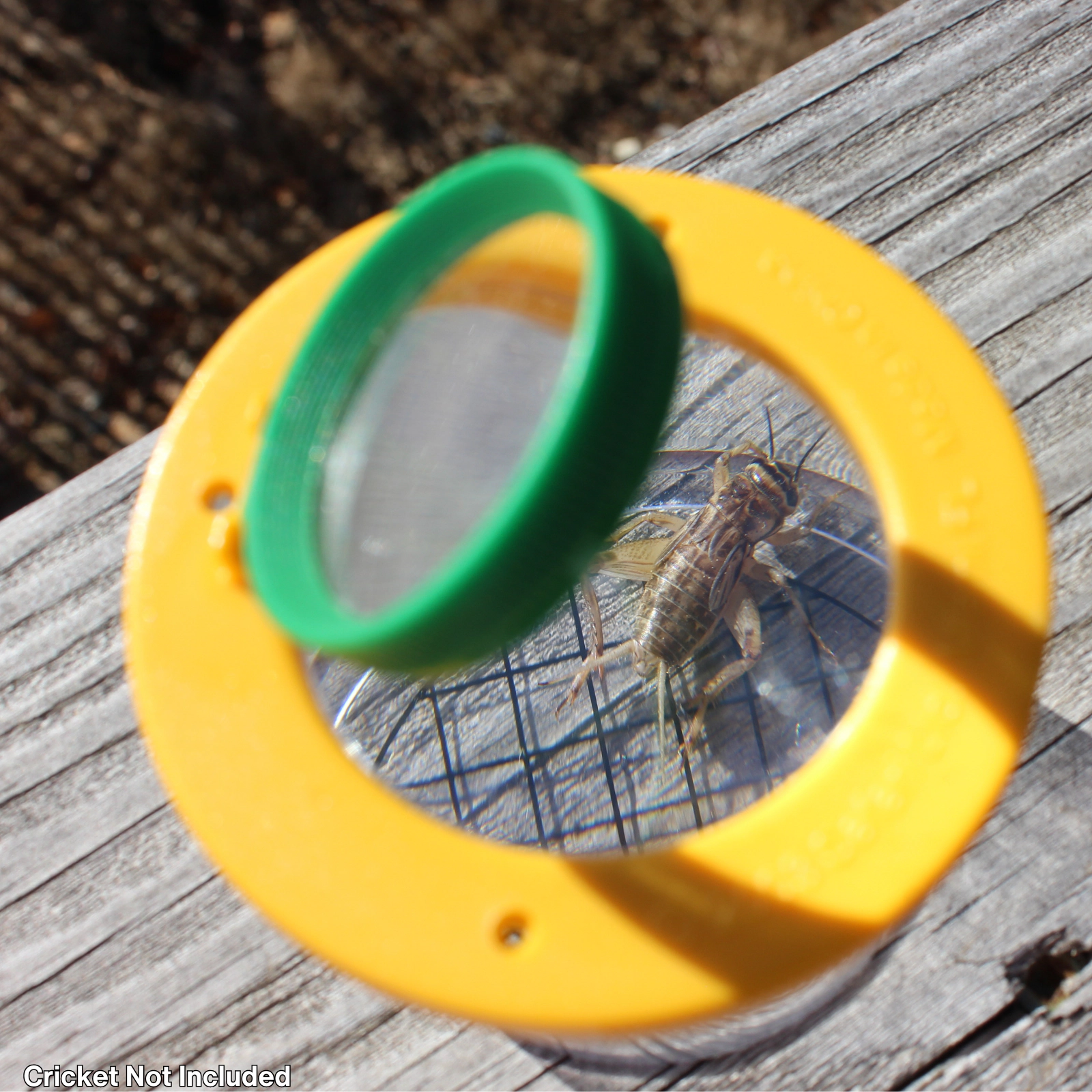 Safari Ltd. - World's Best Bug Jar - Insect Collector for Kids