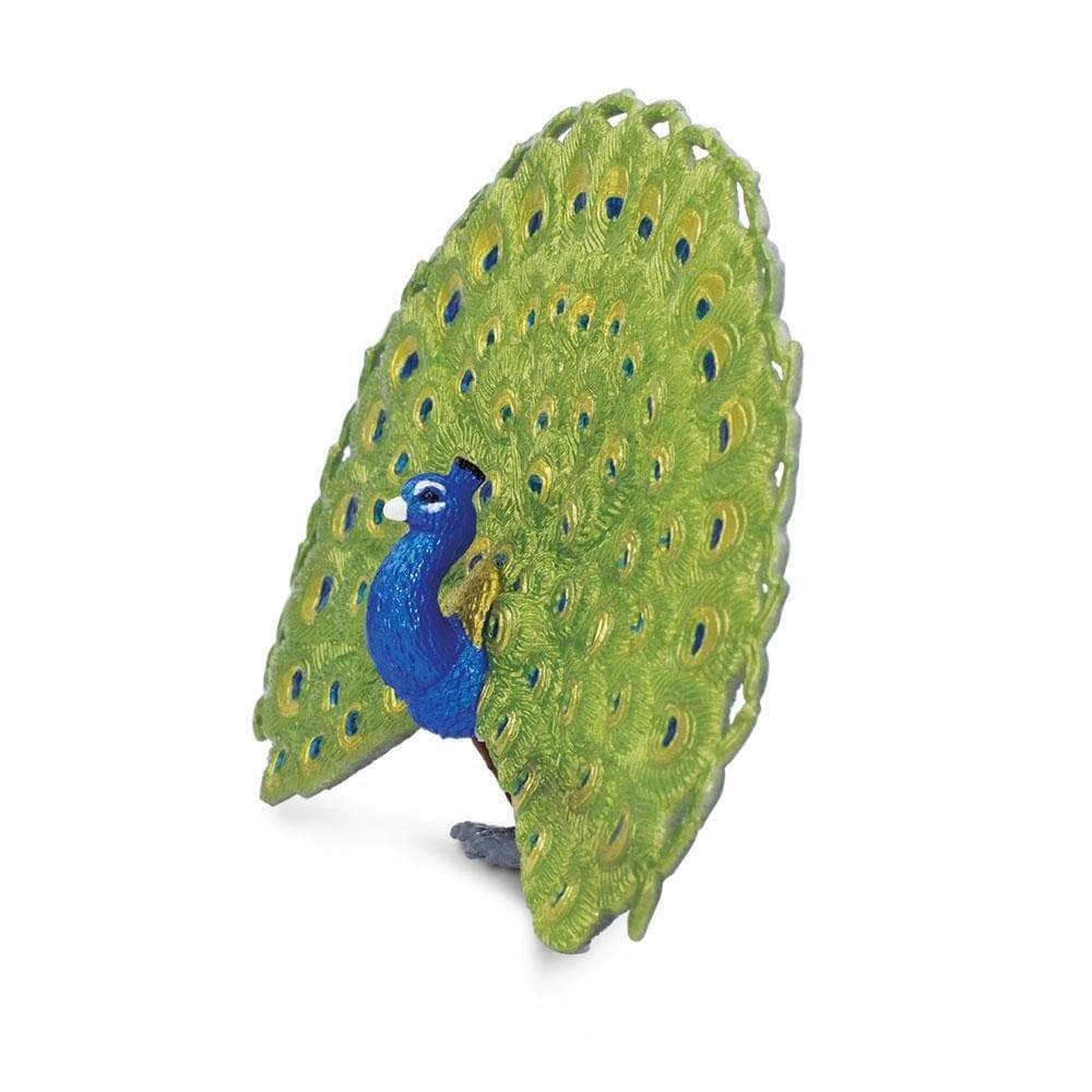 Safari Ltd. - Peacock Kids Toy Figure