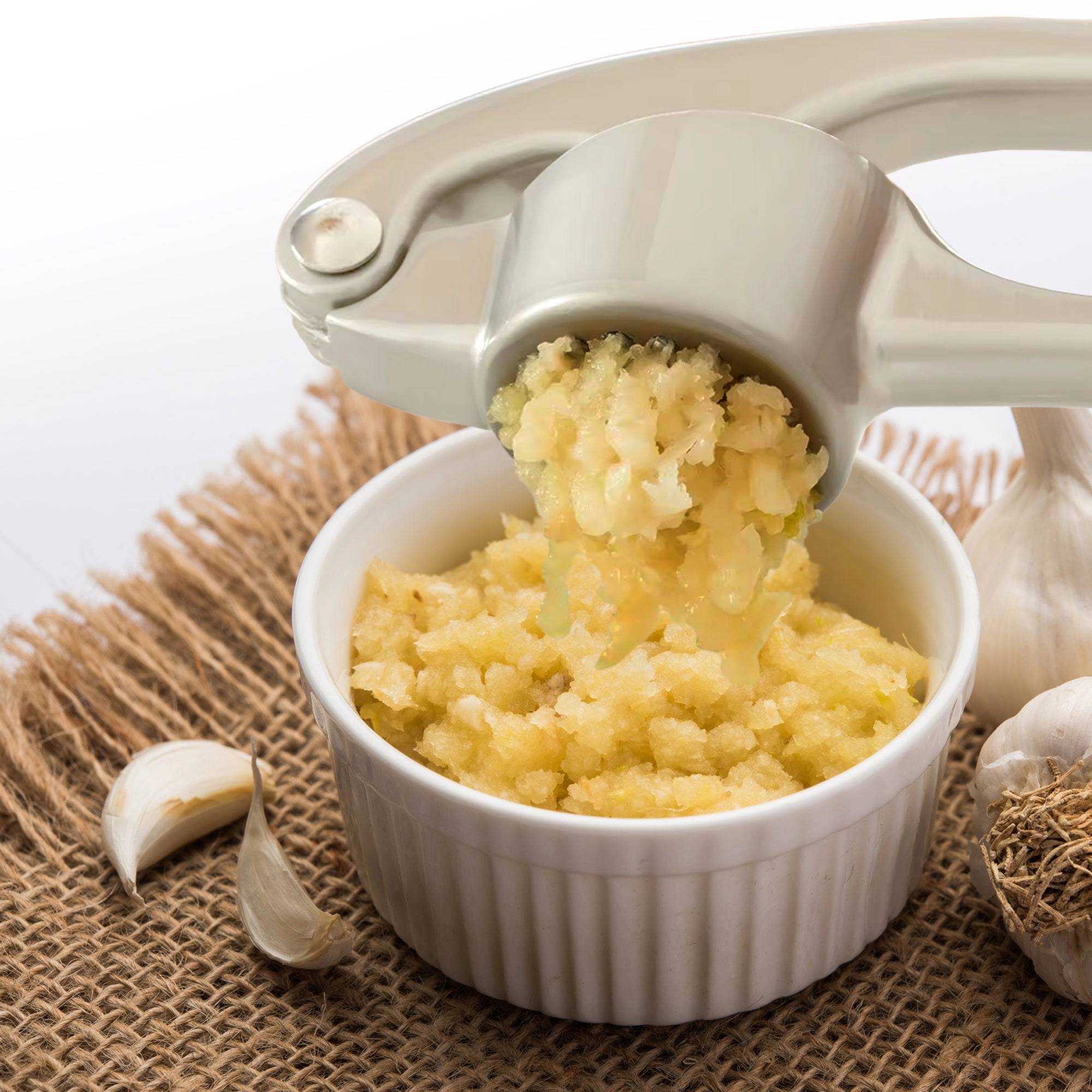 Cheer Collection Premium Stainless Steel Garlic Crusher and Press Tool