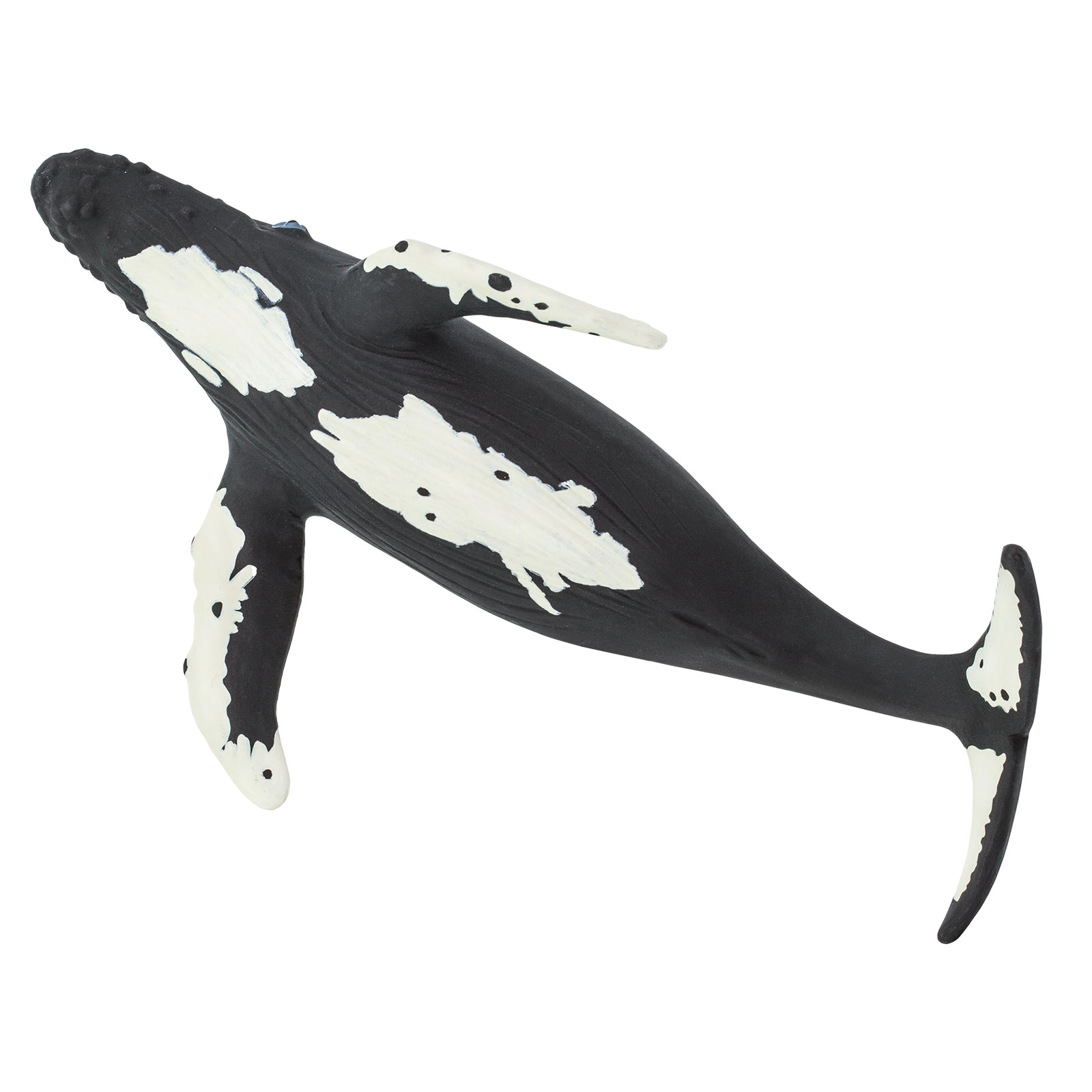 Safari Ltd. - Humpback Whale Kids Toy Figure